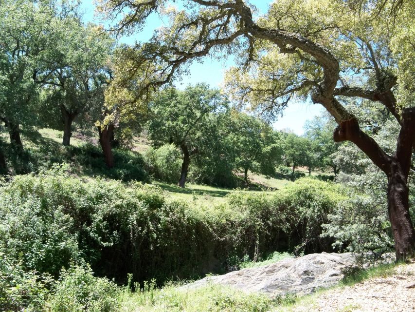 From Seville: Full-Day Aracena & Rio Tinto Mines Tour - Entering the Gruta de las Maravillas