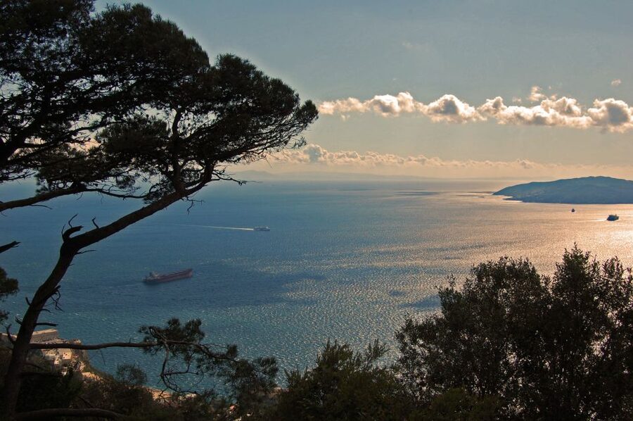 From Seville: Full-Day Trip to Gibraltar - Casemates Square gives you your first taste of Gibraltar