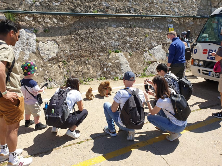 From Seville: Full-Day Trip to Gibraltar - Riding up the Rock of Gibraltar