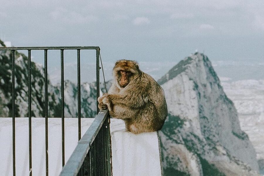 From Seville: Gibraltar Day Trip - Why Gibraltar makes sense as a long day from Seville