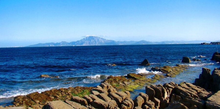 From Seville: Gibraltar Sightseeing Tour - Free time for lunch and Gibraltar shopping