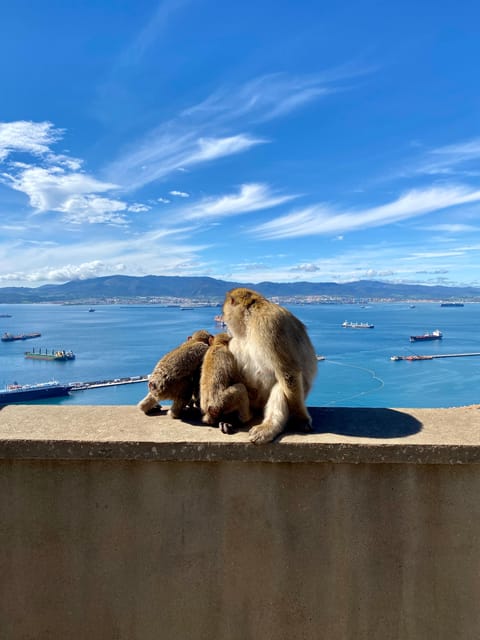 From Seville: Guided Day Trip to Gibraltar - Why Gibraltar feels different from Seville