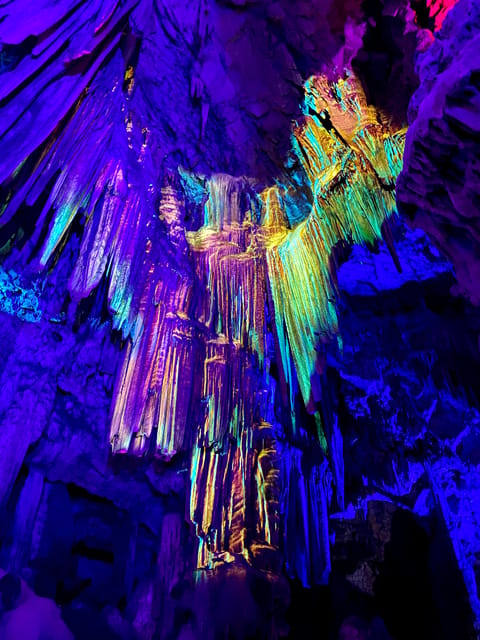 From Seville: Guided Day Trip to Gibraltar - Who should book this Gibraltar excursion