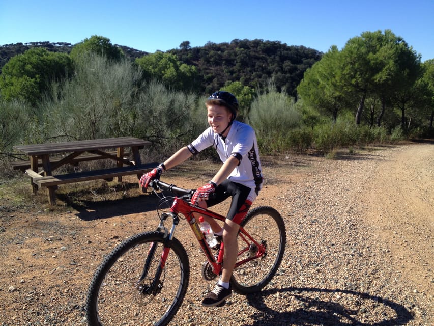 From Seville: Half-Day Guided Bike Trip to Italica - Who will enjoy this tour most?