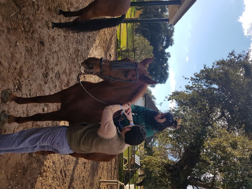 From Seville: Horseback Riding Experience in Aljarafe - Leaving Calle Trajano for the Aljarafe countryside