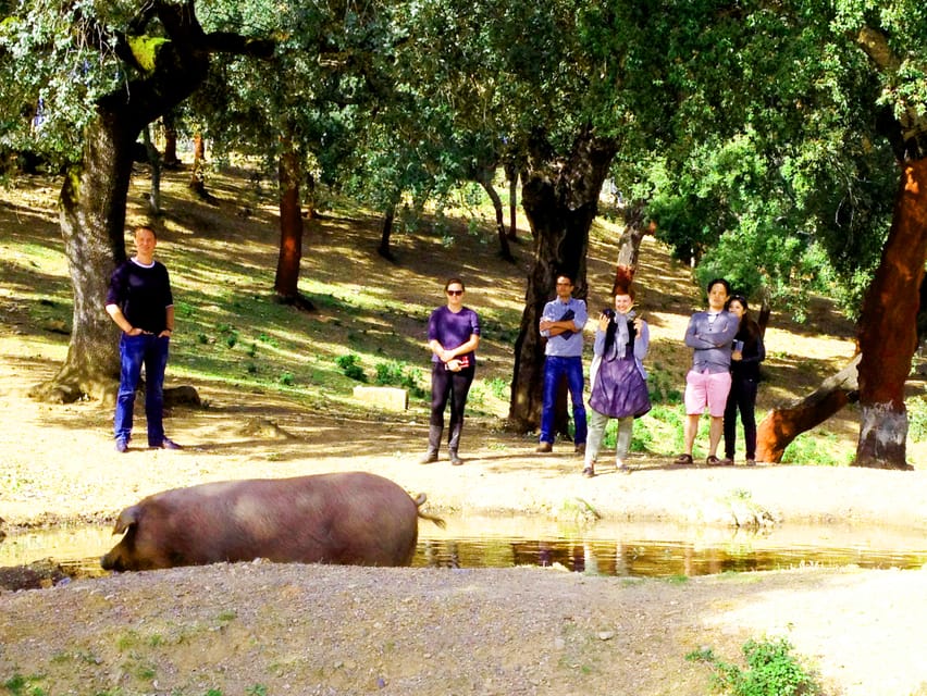 From Seville: Iberian Ham Full-Day Tour to Aracena - Who will get the most from the $364 cost