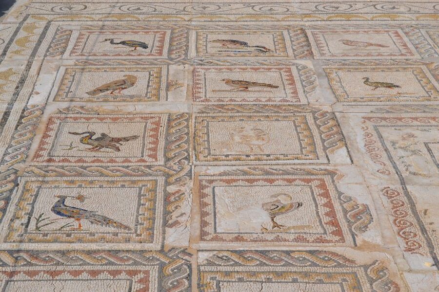 From Seville: Italica Roman City Tour - How the guides affect the day