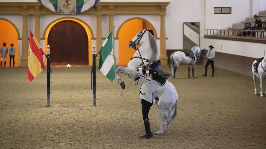 From Seville: Jerez, Cádiz and Andalusian Horses - The Royal Andalusian School’s Horse Ballet