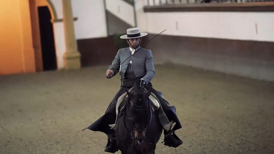 From Seville: Jerez, Cádiz and Andalusian Horses - What the $140 Price Includes