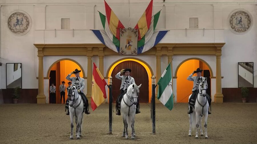 From Seville: Jerez, Cádiz and Andalusian Horses - Who Should Book This Experience