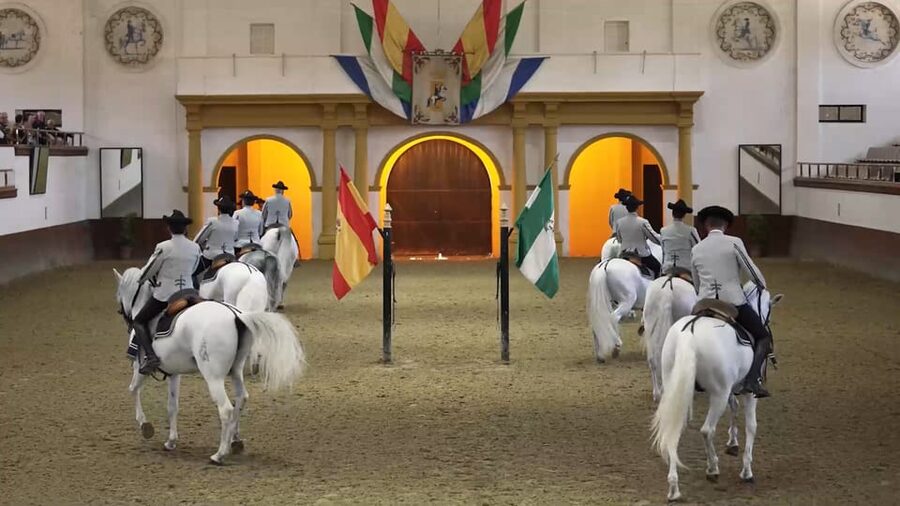 From Seville: Jerez, Cádiz and Andalusian Horses - Practical Details Before You Go