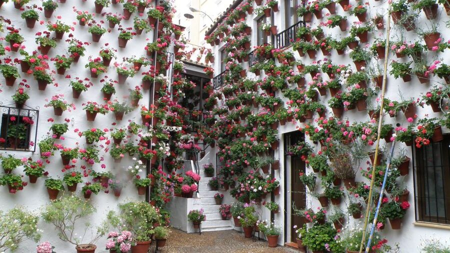 From Seville: Private or Group Full-Day Cordoba Tour - Why the Mosque-Cathedral makes this Córdoba trip special