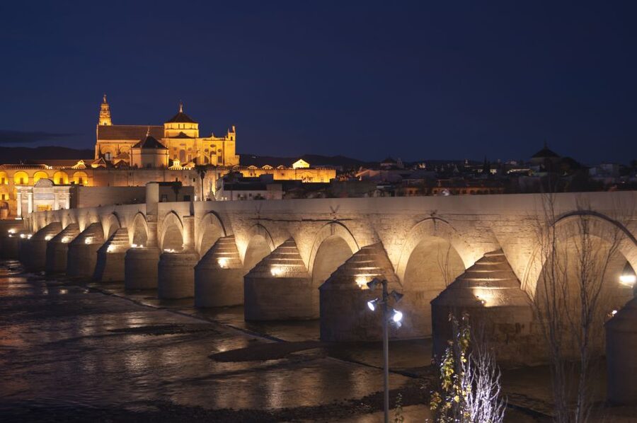 From Seville: Private or Group Full-Day Cordoba Tour - Walking the Jewish quarter’s white lanes