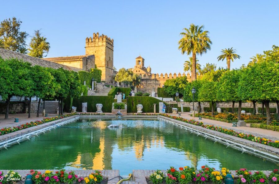 From Seville: Private or Group Full-Day Cordoba Tour - What is included, and what still costs you