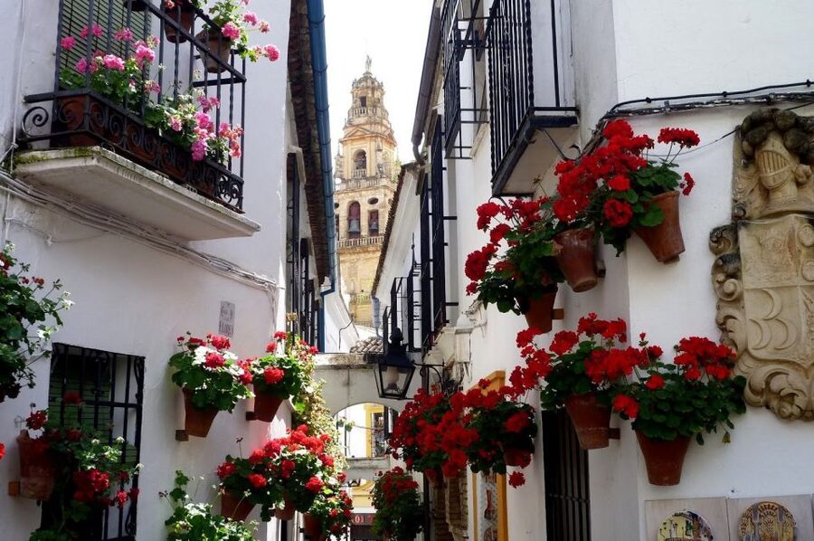 From Seville: Private Transfer to Granada and Córdoba Tour - Key points to know before booking