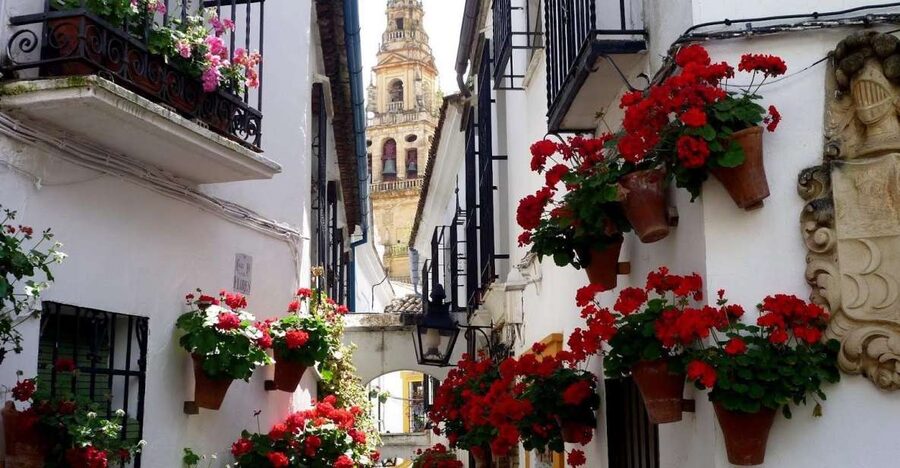 From Seville: Private Transfer to Granada and Córdoba Tour - The Guadalquivir, Albolafia, and Roman Bridge
