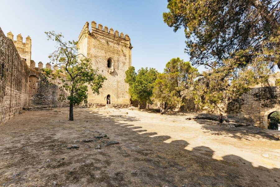 From Seville: Pueblos Blancos and Ronda Full-Day Trip - Through the mountain forest toward Ronda