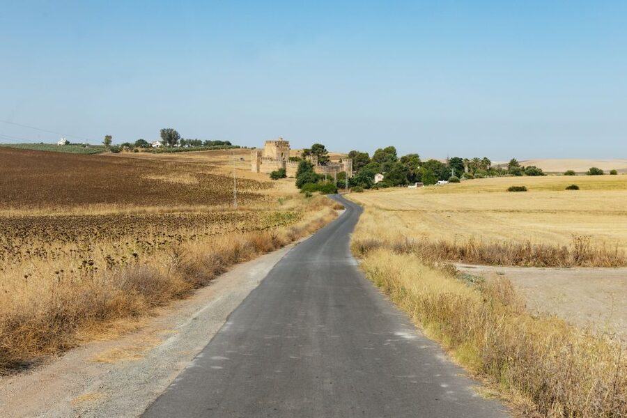 From Seville: Pueblos Blancos and Ronda Full-Day Trip - The guide can shape the whole day
