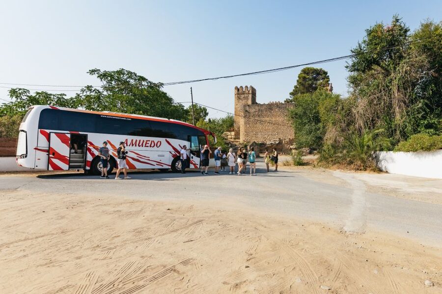 From Seville: Pueblos Blancos and Ronda Full-Day Trip - Timing, coach comfort, and group habits