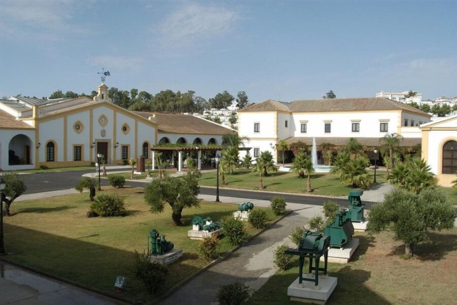From Seville: Tour of Jerez with Horse Show & Wine Tasting - Why Jerez makes a fine day trip from Seville