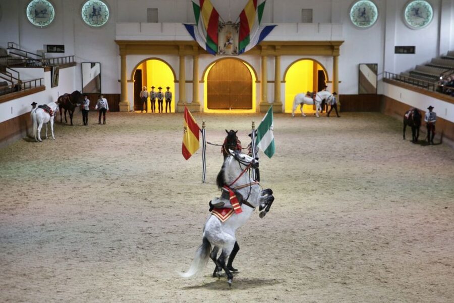 From Seville: Tour of Jerez with Horse Show & Wine Tasting - The ride from Seville in a group of eight
