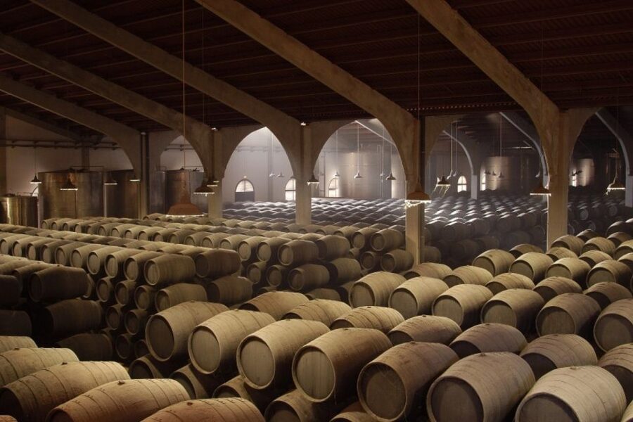 From Seville: Tour of Jerez with Horse Show & Wine Tasting - Booking and planning tips