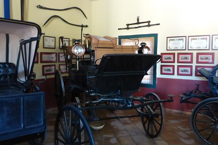 From Seville: Tour of Jerez with Horse Show & Wine Tasting - The final call: book for the horses, not the extras