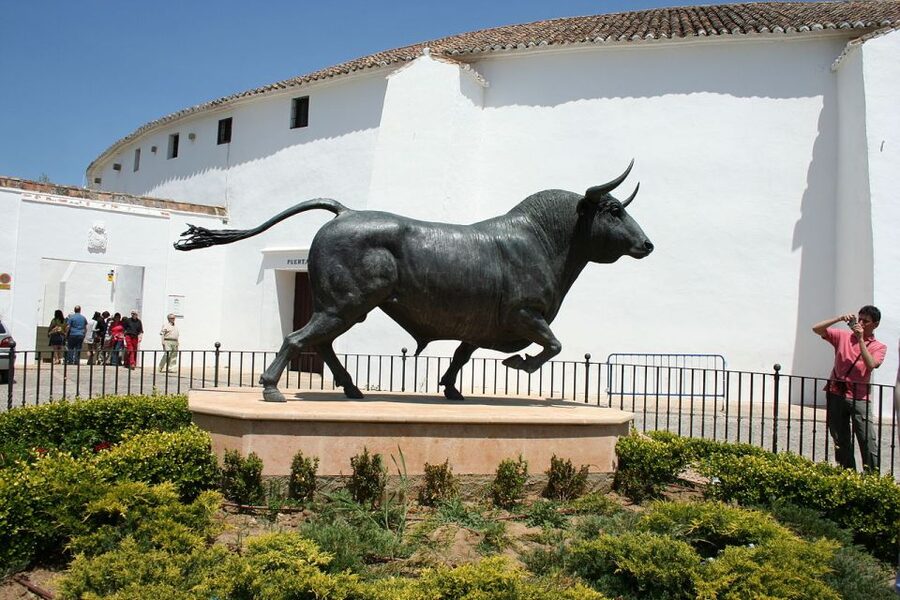 From Seville: White Villages and Ronda Full-Day Trip - Who should take this tour?