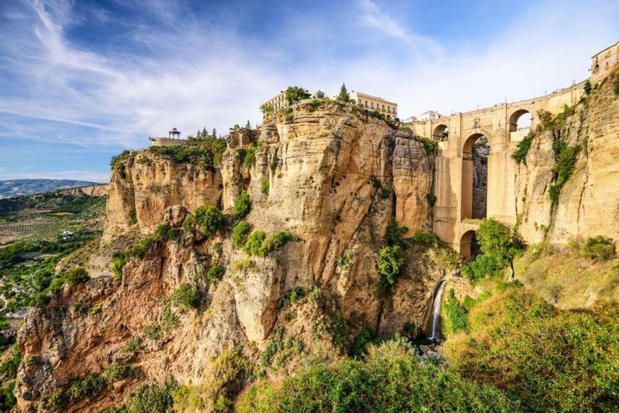 From Seville: White Villages and Ronda Tour - Olive oil and the local food stop