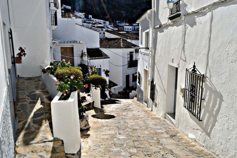 From Seville: White Villages Tour - Key points to know before booking