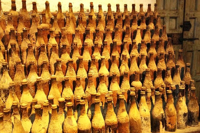 From Seville: Wine Tourism Half Day Tour - Who will enjoy this tour most