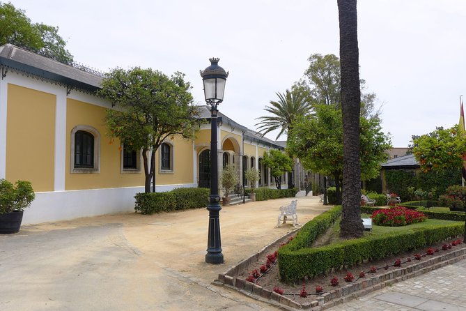 From Seville: Wine Tourism Half Day Tour - The bottom line for Seville wine fans