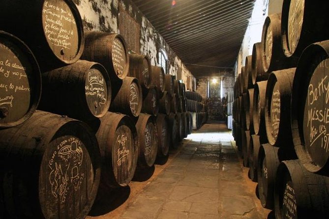 From Seville: Wine Tourism Half Day Tour - Understanding southern Spanish wine