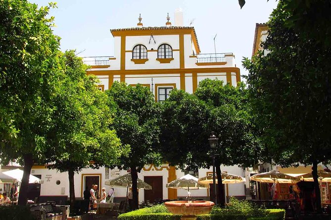 Full Day Seville Tour with tickets (optional Tapas & Flamenco) - Seville Cathedral and the tomb of Columbus