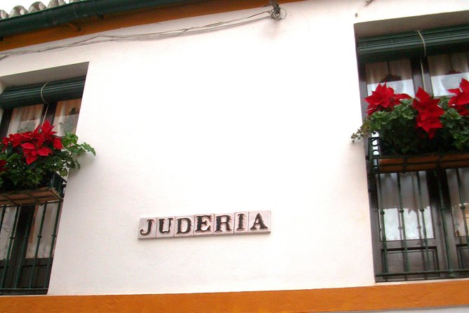 Full Day Seville Tour with tickets (optional Tapas & Flamenco) - Climbing the Giralda