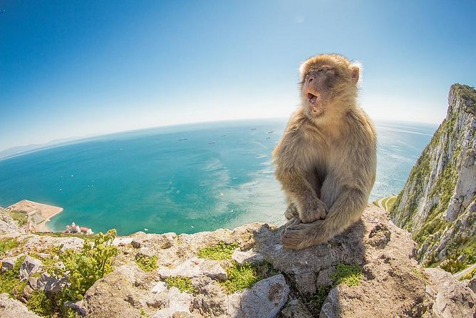 Gibraltar Day Trip from Seville - Key points at a glance