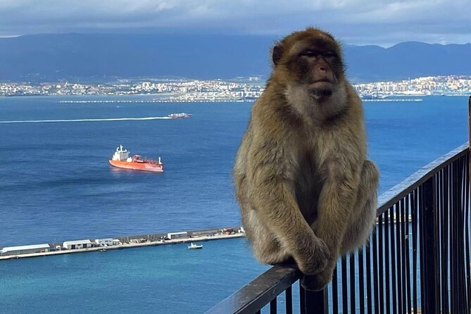 Gibraltar Private Daytrip From Sevilla - Is one day from Seville enough for Gibraltar?