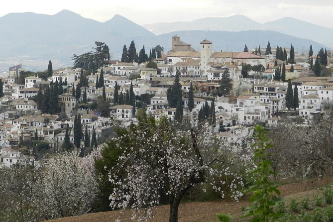 Granada Day Trip: Alhambra & Nazaries Palaces from Seville - Walking, weather, and practical comfort
