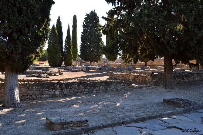 Group Excursion from Seville to Italica (Seville Roman Town) - Walking through the Roman town for two hours