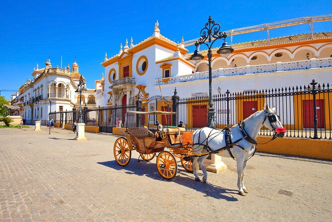 Guided Premium eBike Tour Sevilla | native speakers EN • DE • FR - The guides and the feel of the ride