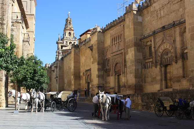 Guided tour: discover the 2 great monuments in Córdoba: Mezquita and Alcázar. - Entering the Mosque-Cathedral