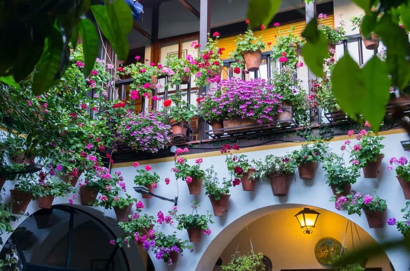 Guided tour in Spanish to the courtyards of Córdoba - Key points to know before booking