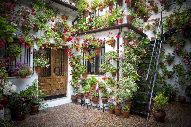 Guided tour in Spanish to the courtyards of Córdoba - What you see inside the patios