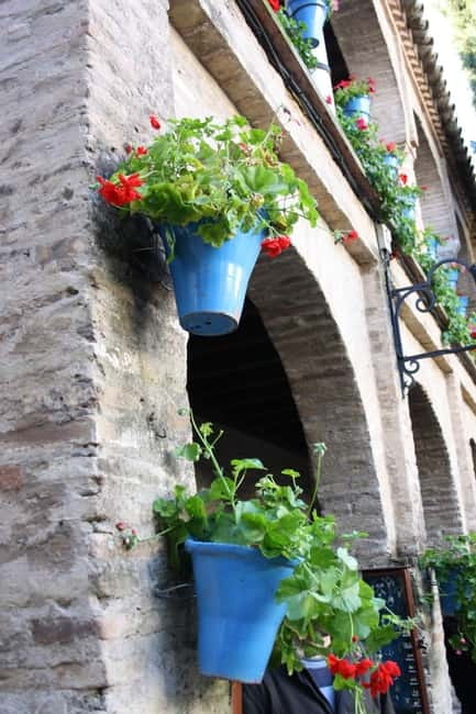 Guided tour in Spanish to the courtyards of Córdoba - The May festival, and why this tour visits later