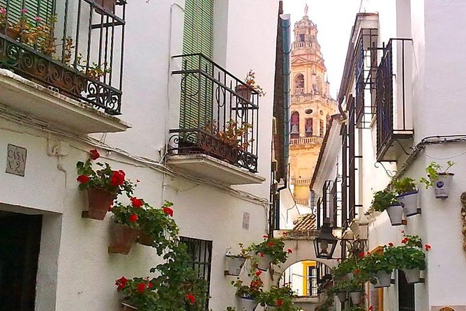 Guided Tour Jewish Quarter and Mosque-Cathedral of Córdoba with tickets - The guide can make or break the experience