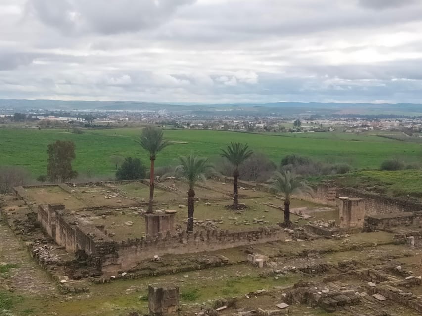 Guided tour of Medina Azahara only in french - Starting at the visitor center
