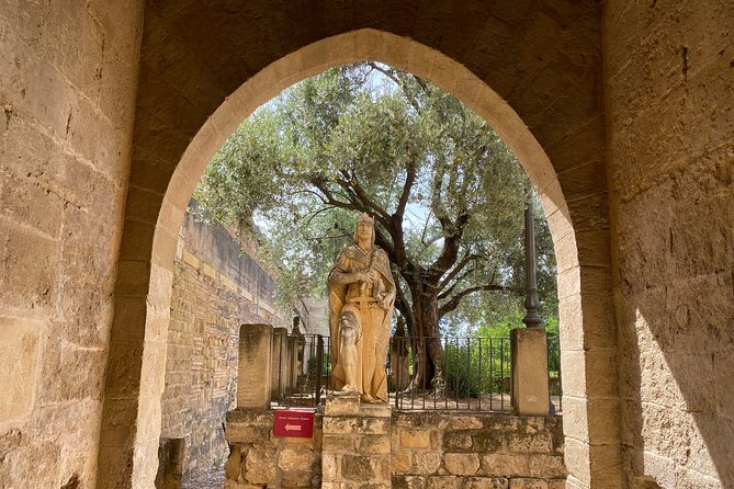 Guided tour of the Alcazar de los Reyes Cristianos in Spanish - What $24.57 buys you