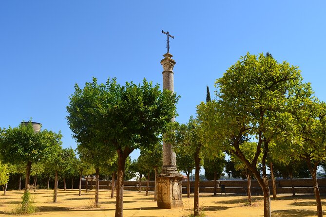 Guided tour of the Monastery of San Isidoro del Campo - The Value of $13.83 for a Guided Heritage Visit