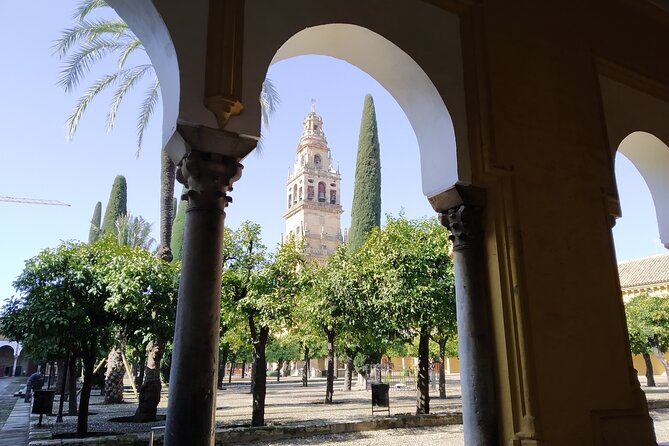 Guided tour of the Mosque-Cathedral of Cordoba in Spanish - Why the Mosque-Cathedral needs a guide
