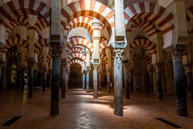 Guided tour of the Mosque with entrance included - Starting at the Palacio de Congresos
